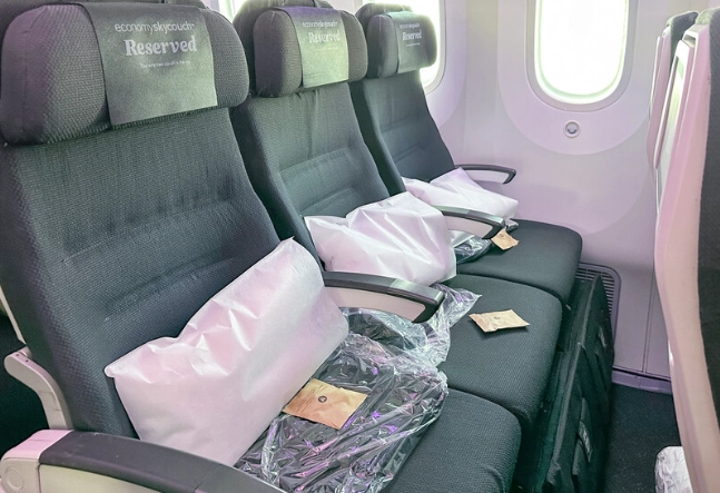 紐西蘭航空空中沙發 紐西蘭航空空中沙發