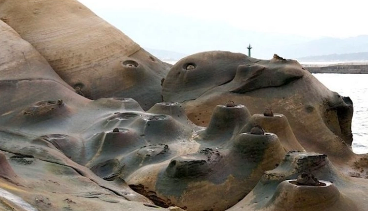 野柳親子行程 野柳親子行程