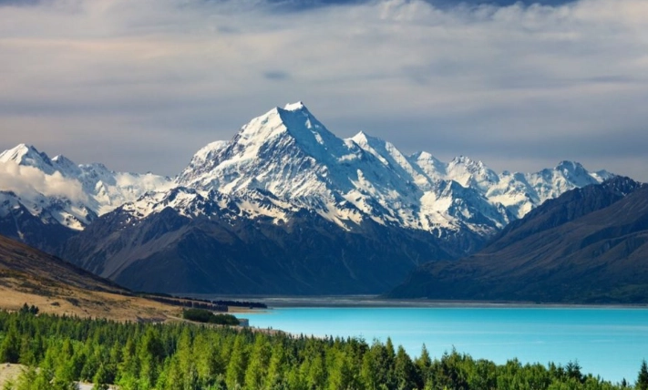 紐西蘭海關申報