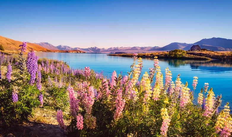 澳洲紐西蘭比較