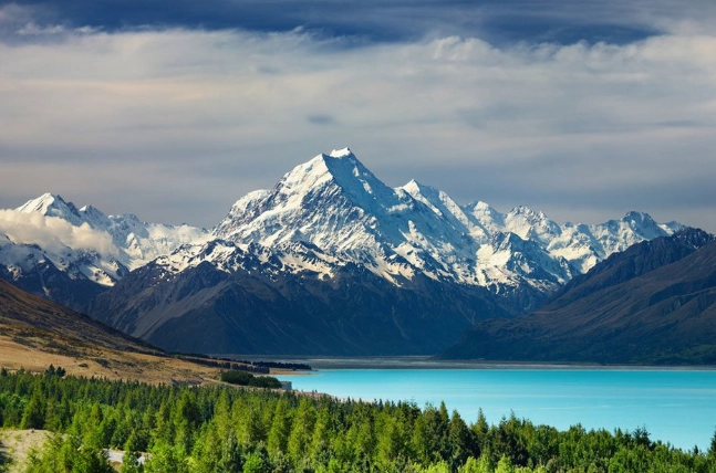 紐西蘭南島人口統計