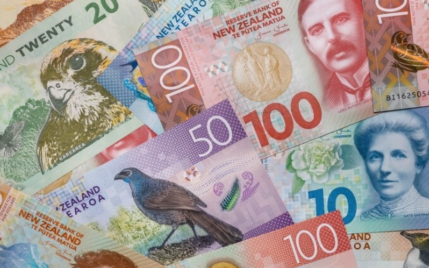 紐西蘭巴士現金付款