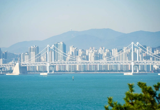 釜山地鐵路線 釜山地鐵路線