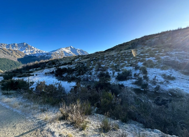 但尼丁旅遊攻略 但尼丁旅遊攻略