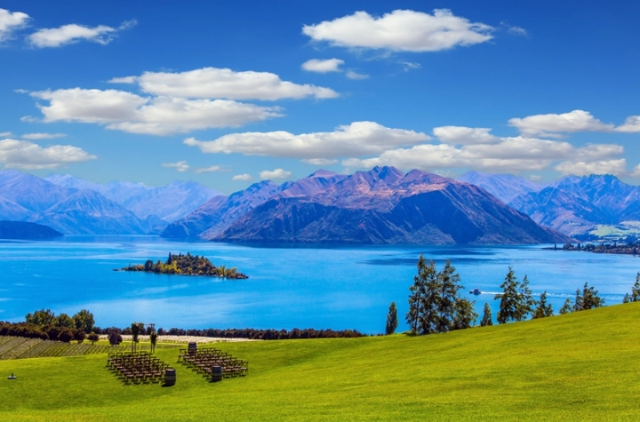 紐西蘭 入境 禁止攜帶物品 紐西蘭 入境 禁止攜帶物品