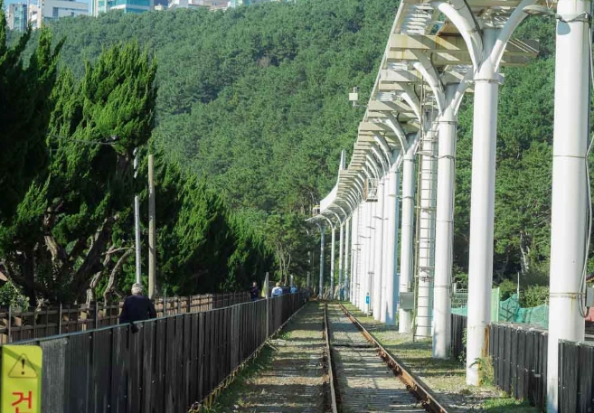 海雲台交通攻略 海雲台交通攻略