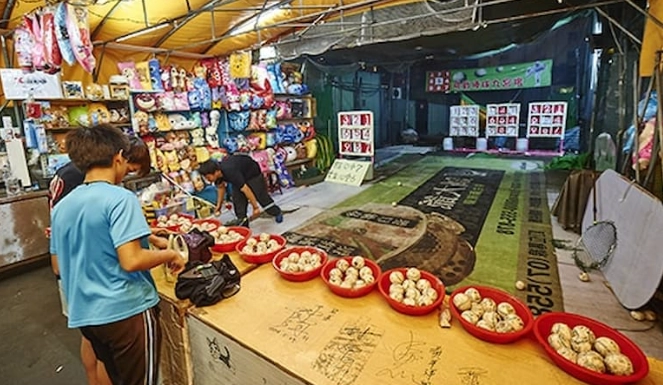 夜市撈金魚 夜市撈金魚