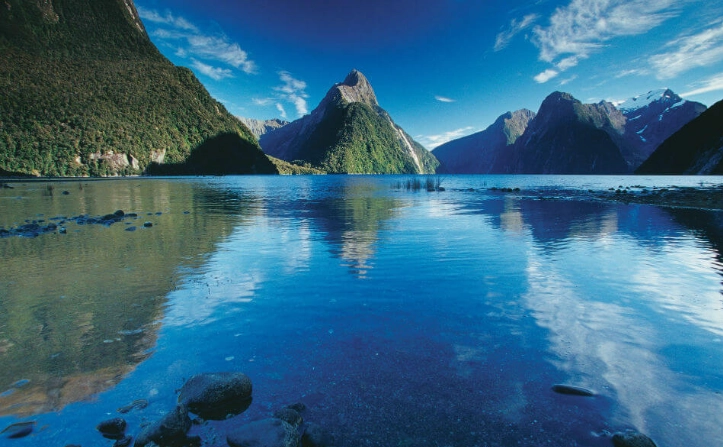 紐西蘭租車罰單處理