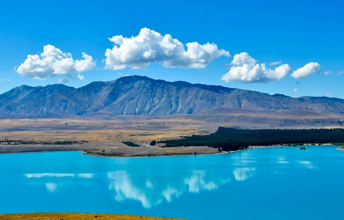 紐西蘭 海關 申報 紐西蘭 海關 申報