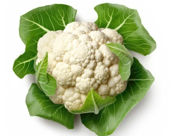 白花椰菜綠花椰菜差別