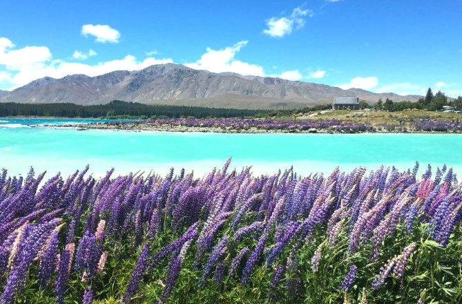 紐西蘭深度旅遊