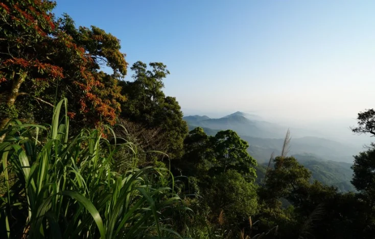 台南大凍山來回時間