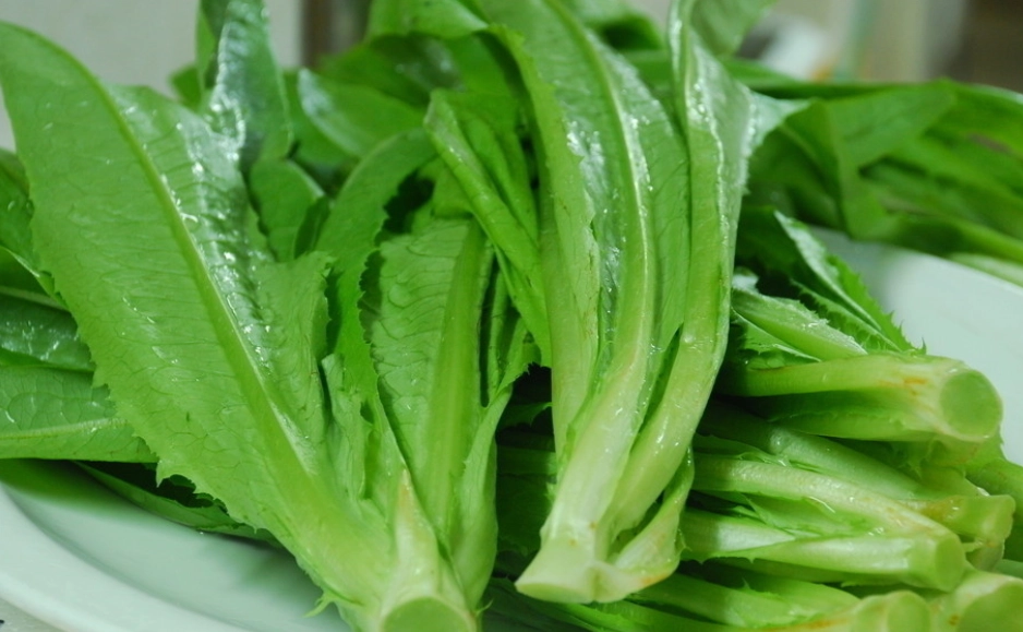 油麥菜壞處全面解析：食用風險與健康隱憂