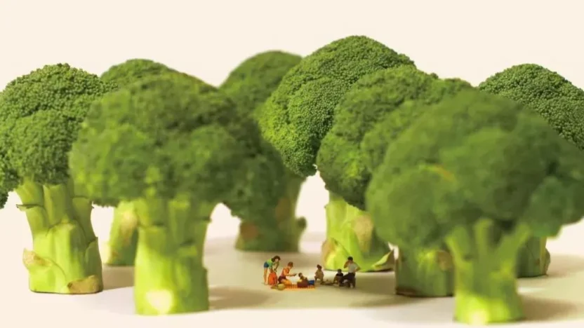 不能生吃的蔬菜