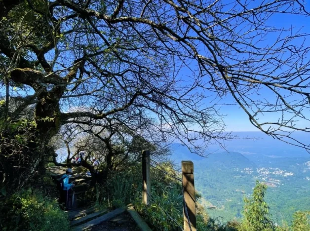 台南大凍山難度