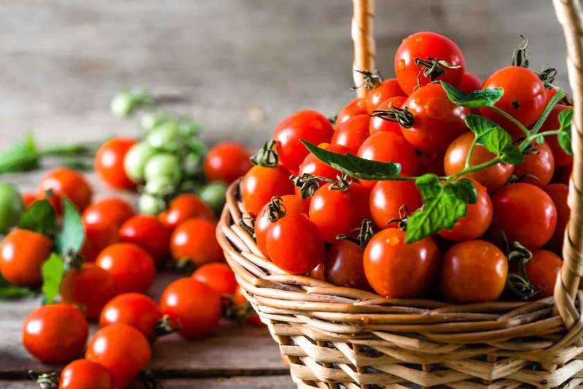 蕃茄仔營養全攻略：從營養成分到健康益處的深度解析