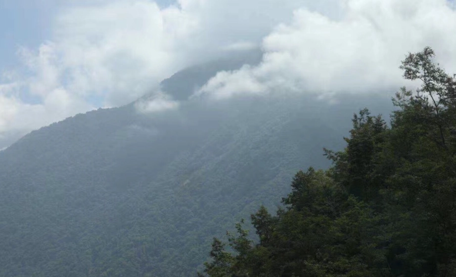 大塔山行程全攻略：登山路線、時間安排與必備裝備完整指南