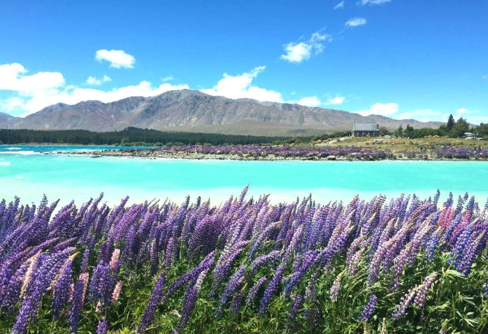 紐西蘭省錢終極指南：旅遊達人教你聰明花費不超支