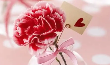 花語是自由的花