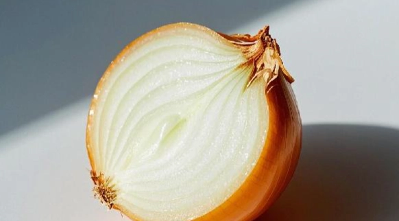 切過的洋蔥保存