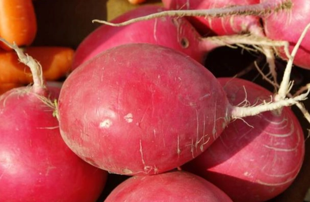 紅蘿蔔裂開可以吃嗎