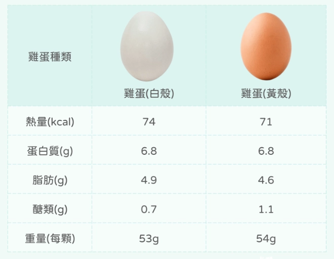 雞蛋鈣質全攻略：補鈣效果驚人？營養師揭秘真相與實用建議