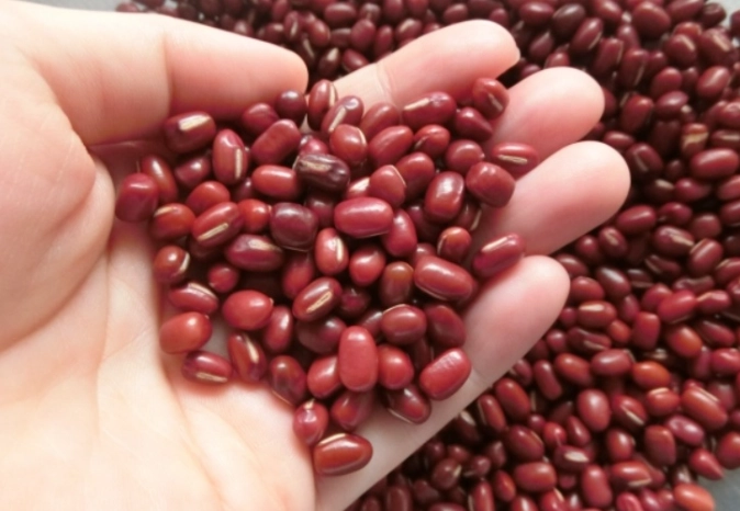 紅豆的功效和副作用