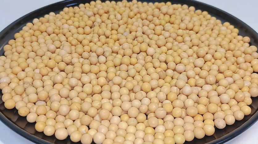 快速泡黃豆技巧大公開：3小時內完成，豆漿、豆腐製作必學！