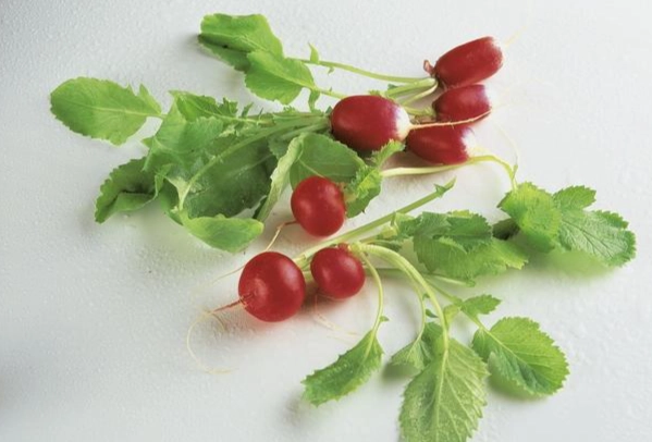 紅皮蘿蔔好吃嗎