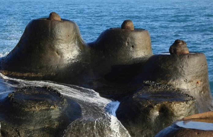 野柳地質公園走多久