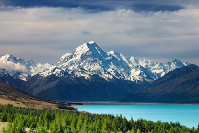 紐西蘭城市排名