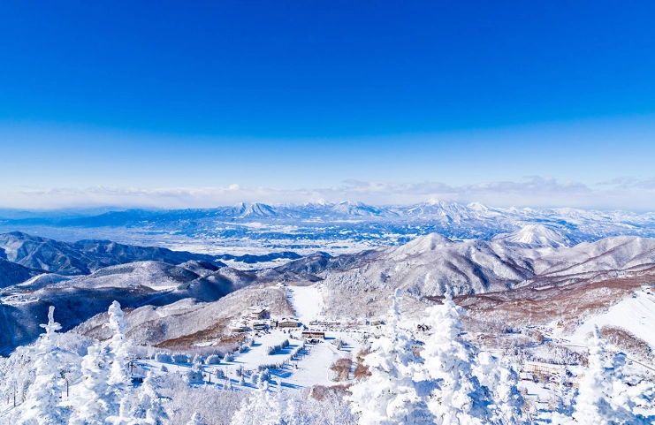 長野自由行冬天全攻略：滑雪、溫泉、美食與行程規劃