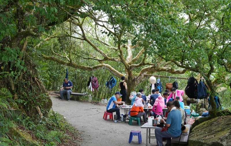 台南雞籠山登山步道難度全解析：挑戰等級、路線攻略與安全指南