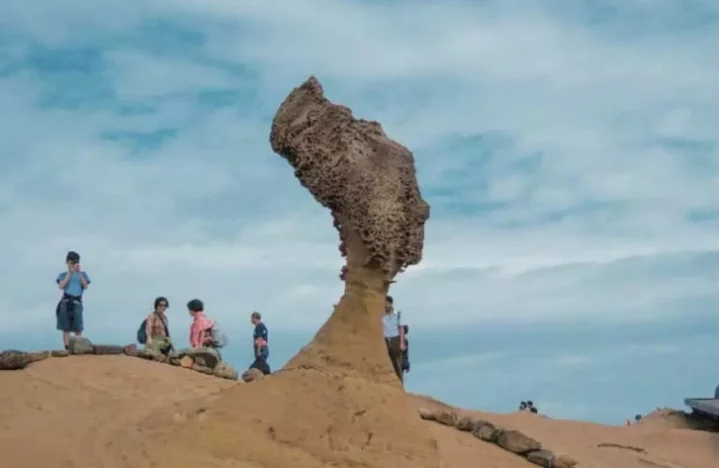野柳一日遊開車