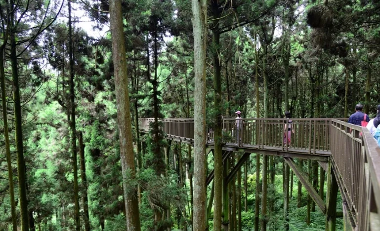 台北溪頭一日遊