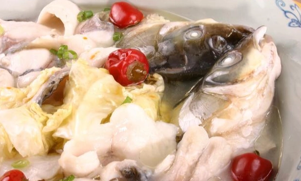 腎臟病可以吃的魚