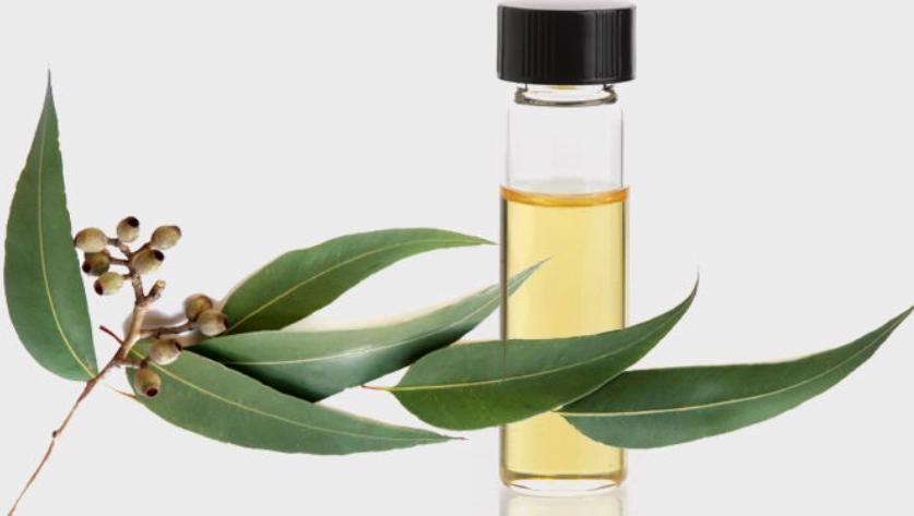 茶樹精油漱口完整指南：好處、正確方法與安全須知一次掌握