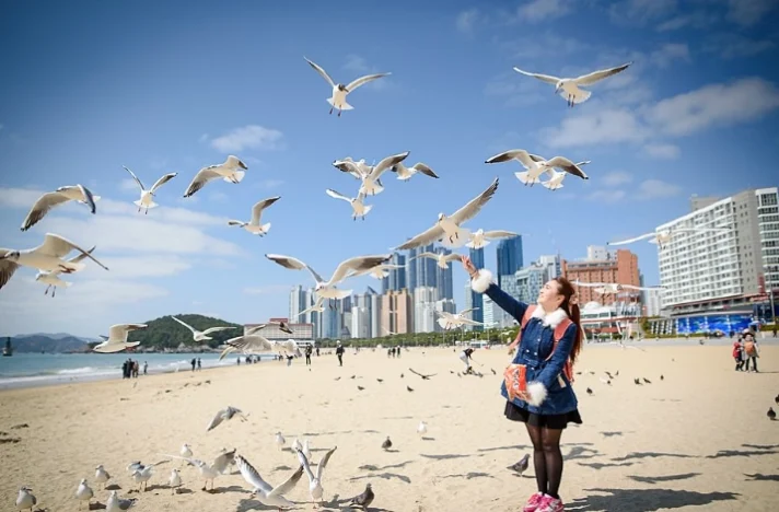 海雲台到西面要多久