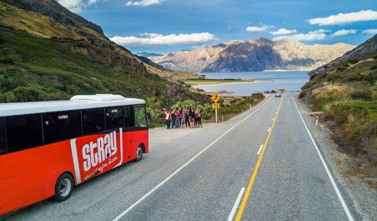 紐西蘭公車信用卡