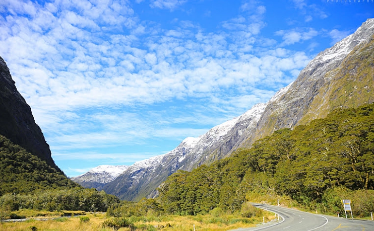 紐西蘭刷卡手續費