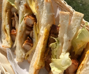 紐澳旅行社推薦