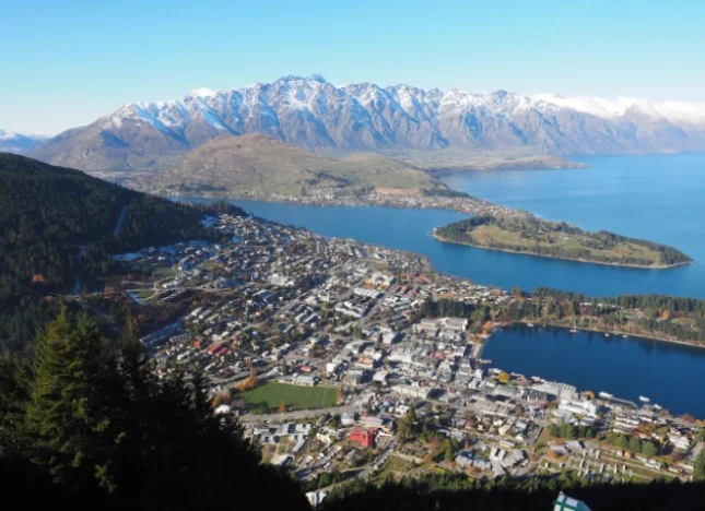 紐西蘭罰單查詢