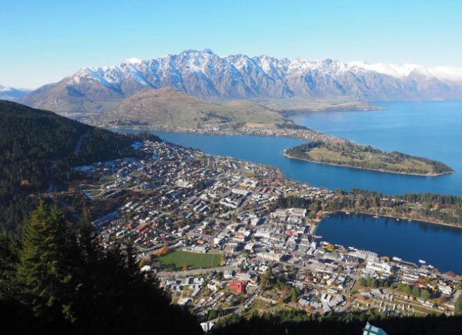 紐西蘭罰單查詢攻略：線上繳費、申訴流程與國際遊客必知事項