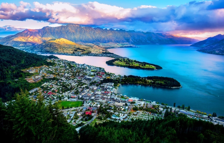 紐西蘭海關問題