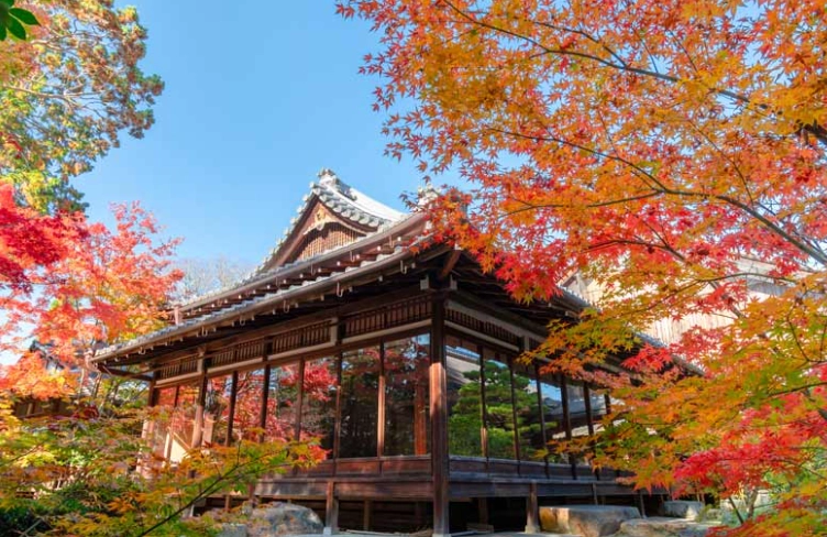 南禪寺楓葉全攻略：京都賞楓秘境、交通、拍攝點一次掌握