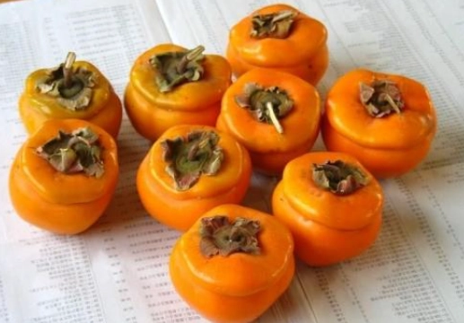 柿子可以跟蛋一起吃嗎