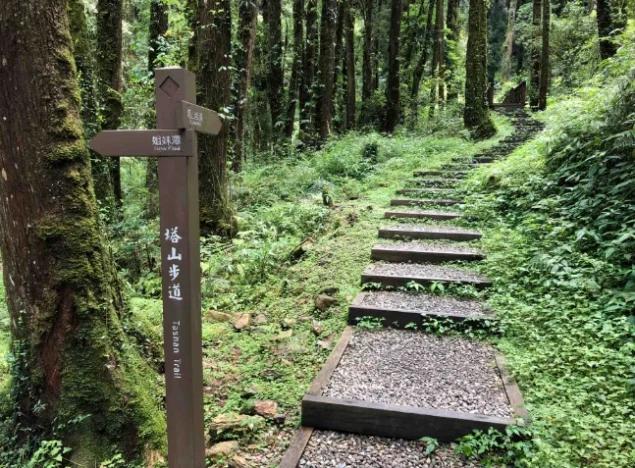 塔山步道難度