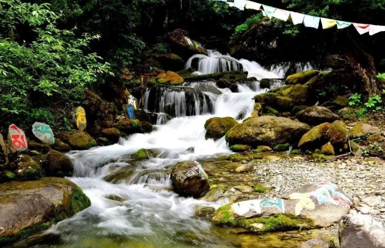 姬川源流自然探勝園：探索自然源頭的終極指南與實用攻略