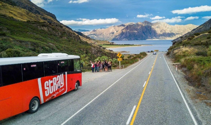 紐西蘭公車現金