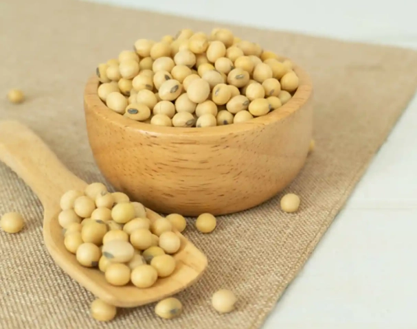 黃豆功效